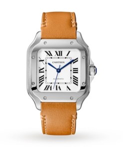 Cartier Santos de Cartier Men Automatic Silver Stainless Steel Watch WSSA0029