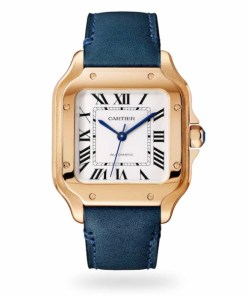 Cartier Santos de Cartier Men Automatic Silver Alligator Watch WGSA0012