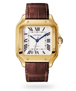 Cartier Santos de Cartier Men Automatic Silver 18ct Gold Watch WGSA0030