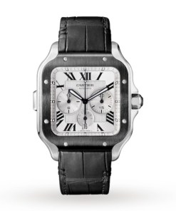 Cartier Santos de Cartier Men Automatic Silver Rubber Watch WSSA0017