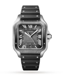 Cartier Santos de Cartier Men Automatic Grey Stainless Steel Watch WSSA0037