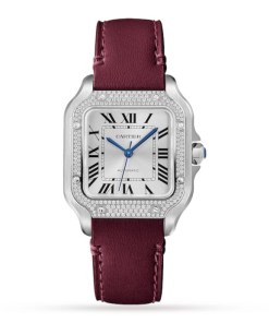 Cartier Santos Women Automatic White Stainless Steel Watch W4SA0005